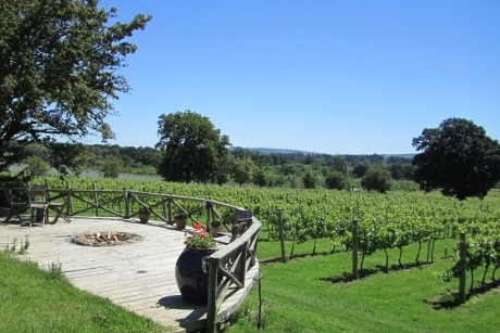 Groups Welcome At Nutbourne Vineyard For English Wine Week %7C Group Travel News